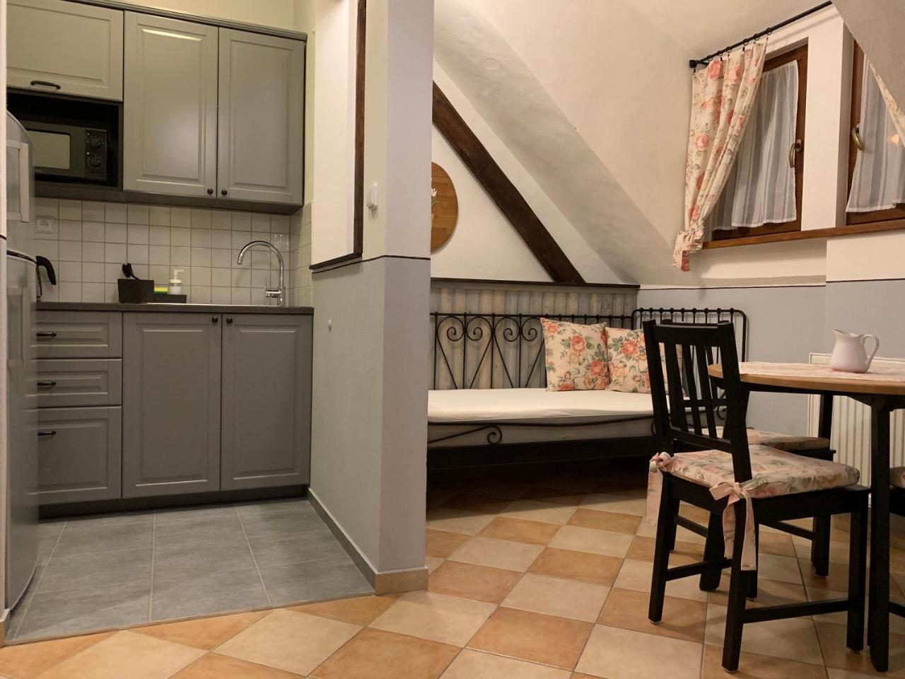 Pension Amadeus&Apartments Český Krumlov Extérieur photo